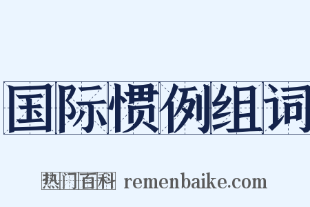 国际惯例组词是什么意思的图片